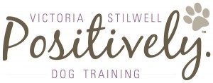 VSPDT logo The Importance Of Teaching Your Dog Social Skills